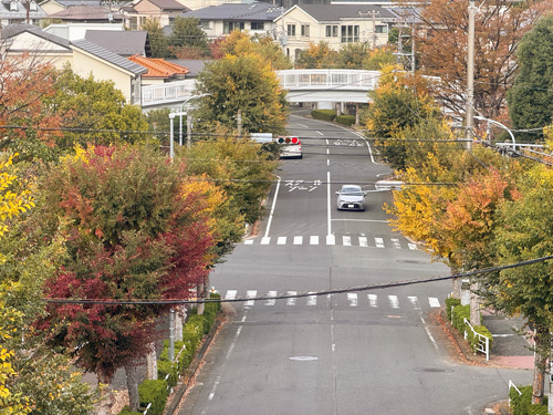 歩道橋からの景色