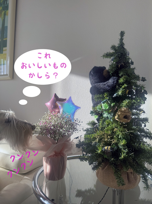 クリスマスツリー