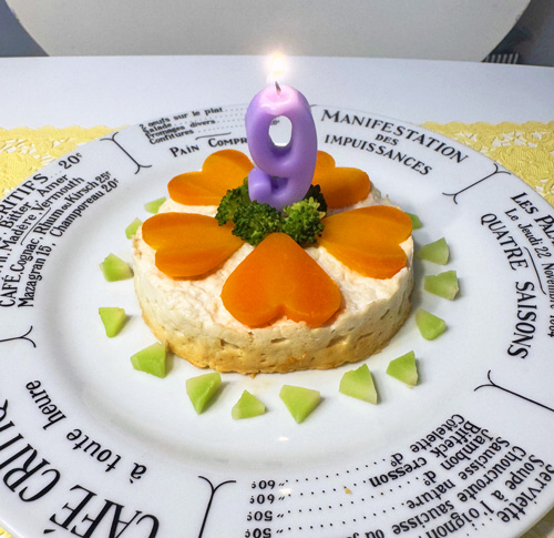 ササミと豆腐のヘルシーバースデーケーキ