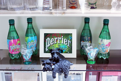 perrier Andy Warhol 