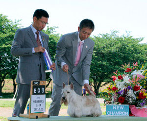 2012年5月19日、JKCチャンピオンに。