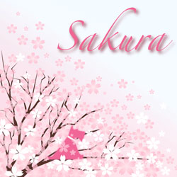 Sakura