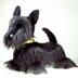 Scottish Terrier ぬいぐるみ