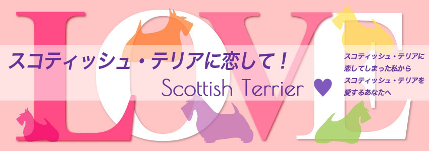 スコティッシュ・テリアに恋して！Scottish Terrier Love